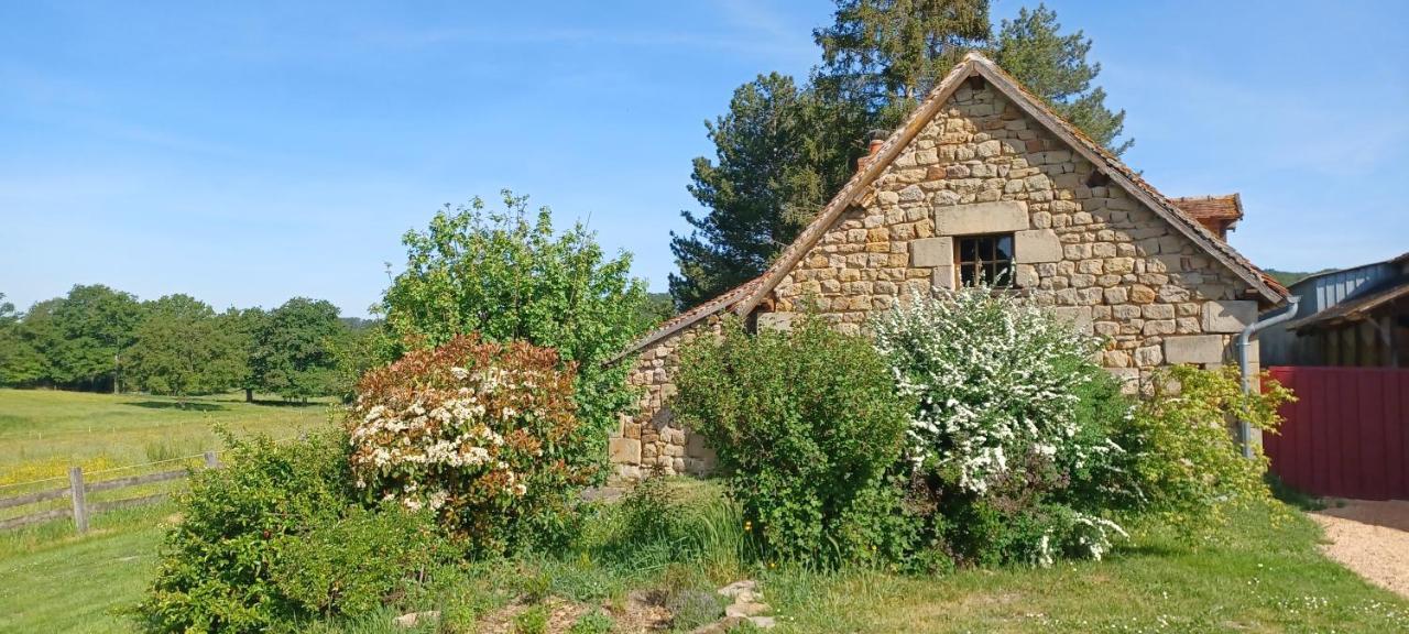 הוילה Buxières-les-Mines Domaine De Reniere מראה חיצוני תמונה